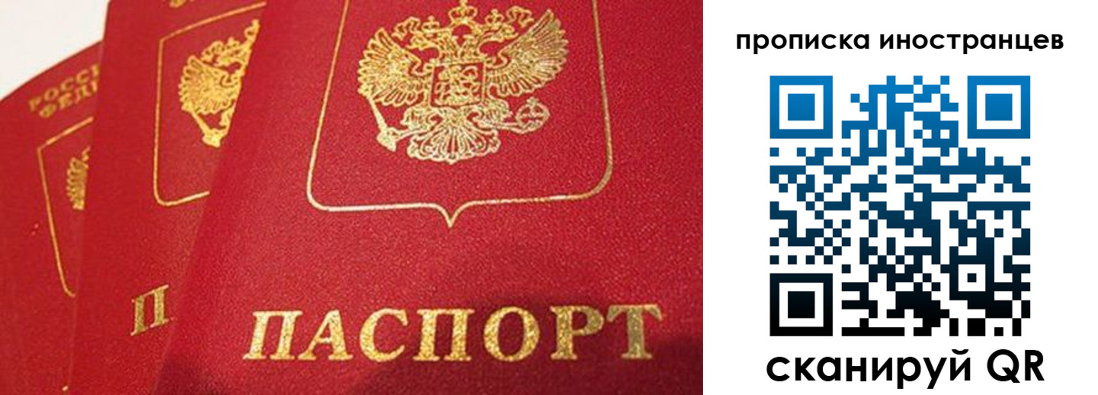 прописка поиск в Муравленко